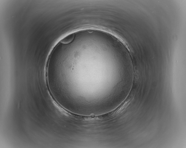 X0000112151535200908071106