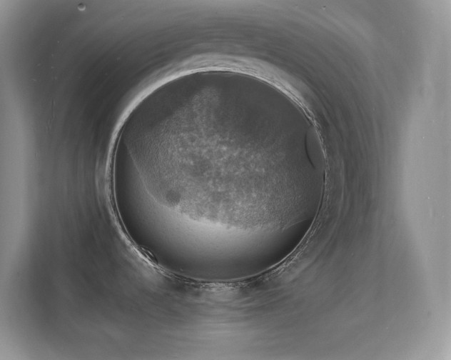 X0000112151536200908071106