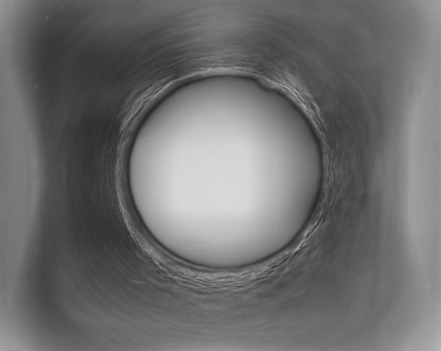 X0000112150001200908141224