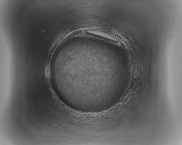 X0000112150002200908141224