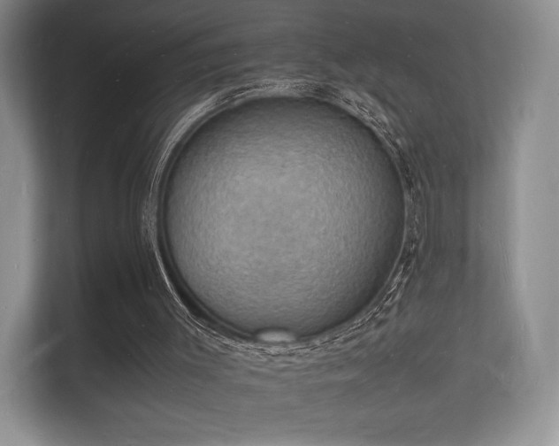 X0000112150003200908141224