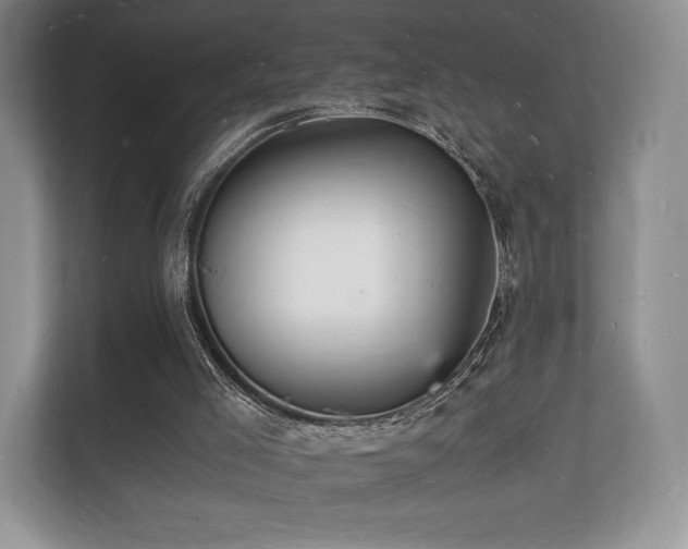 X0000112150005200908141224