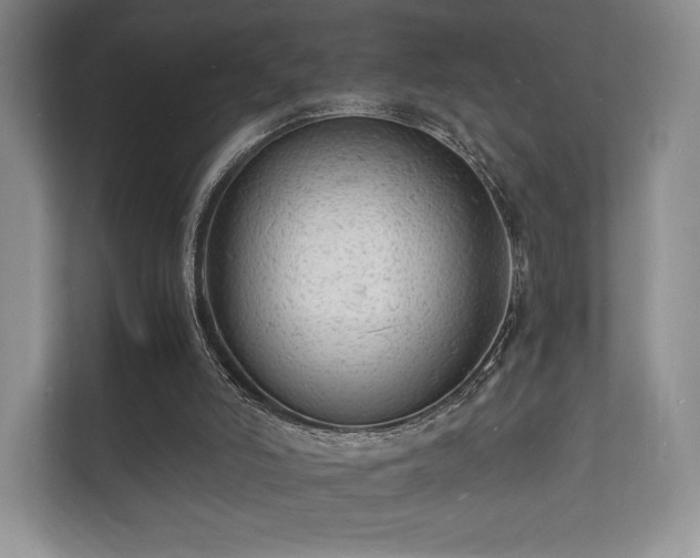 X0000112150006200908141224