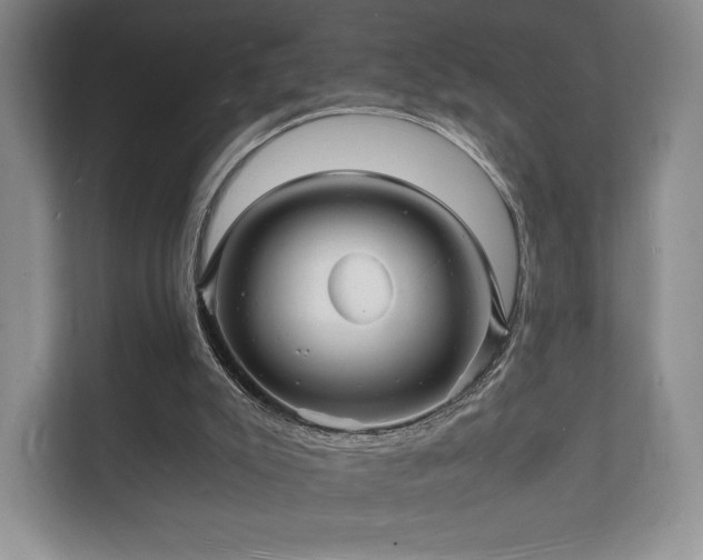 X0000112150007200908141224