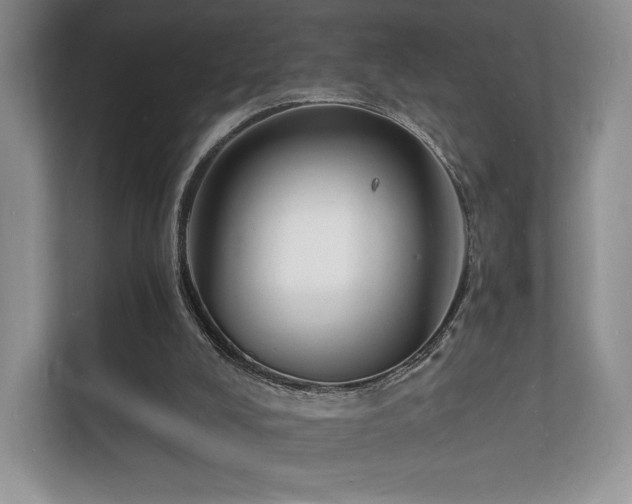 X0000112150008200908141224