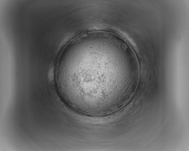 X0000112150010200908141224