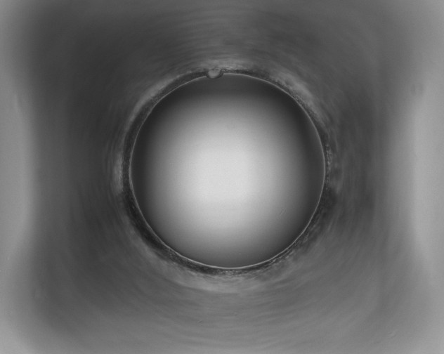 X0000112150012200908141224