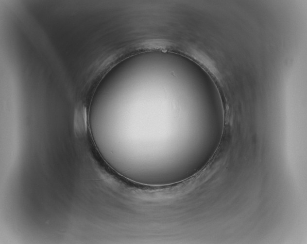 X0000112150013200908141223