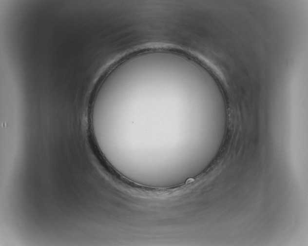 X0000112150015200908141223