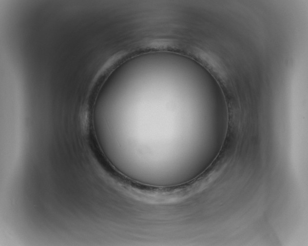 X0000112150016200908141223