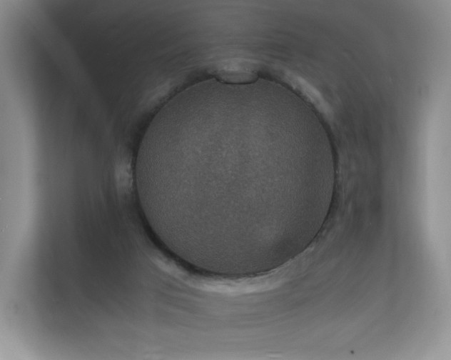 X0000112150017200908141223