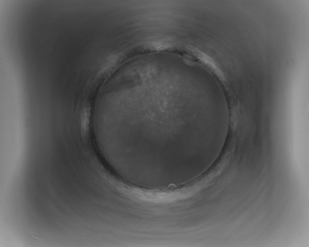 X0000112150018200908141223