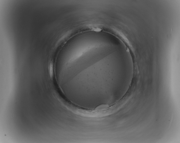 X0000112150019200908141223