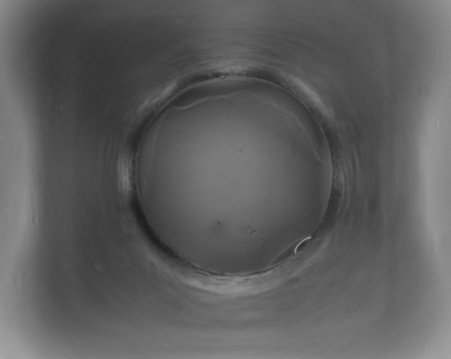 X0000112150023200908141223