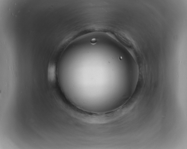 X0000112150024200908141223