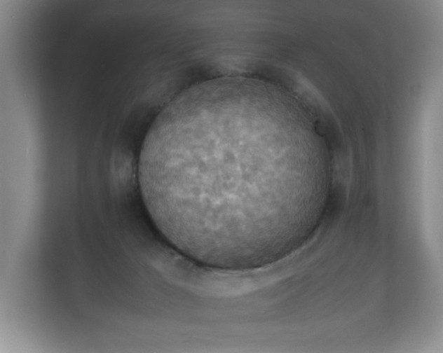 X0000112150029200908141223