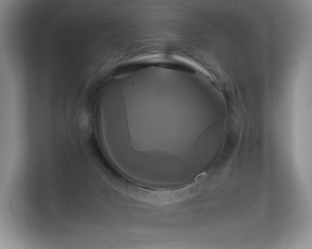 X0000112150031200908141223