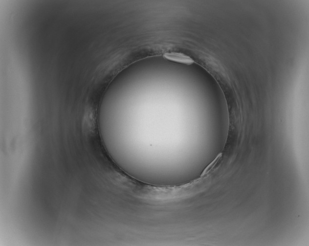 X0000112150037200908141223