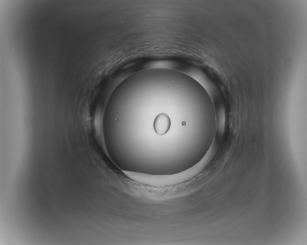 X0000112150039200908141223