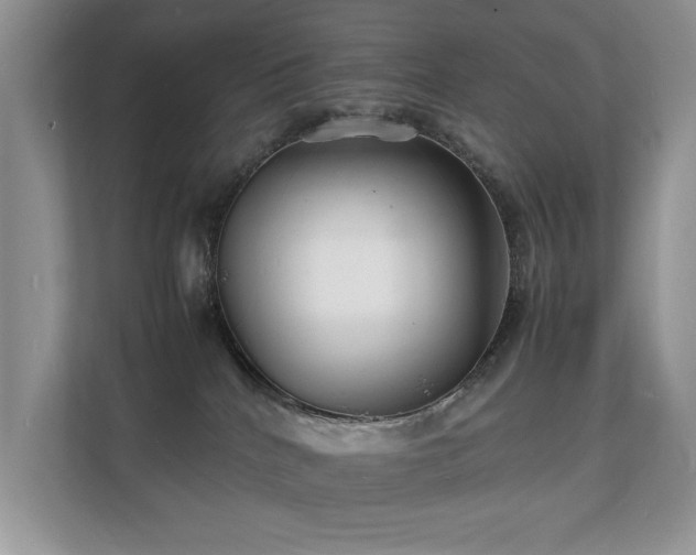 X0000112150040200908141223