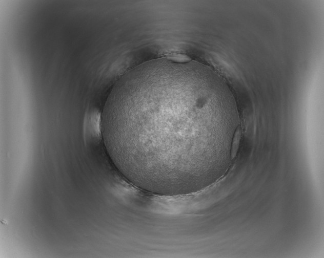 X0000112150041200908141223