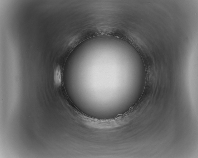 X0000112150042200908141223