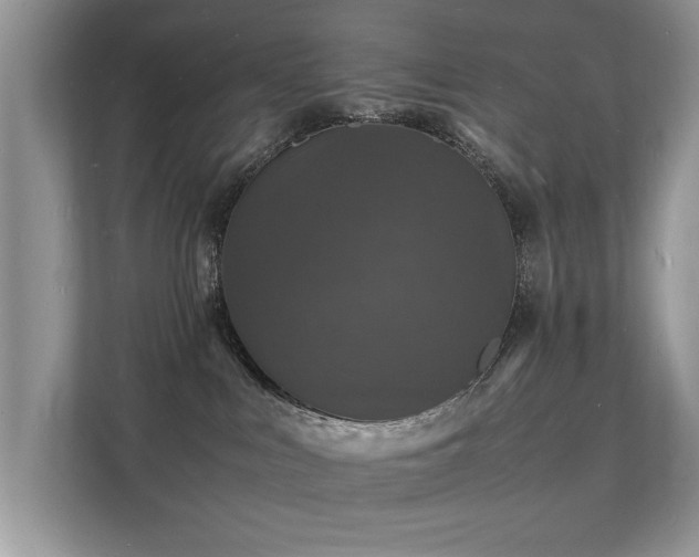 X0000112150043200908141223