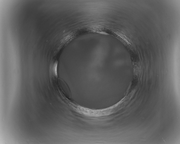 X0000112150047200908141223