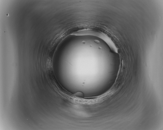 X0000112150048200908141223