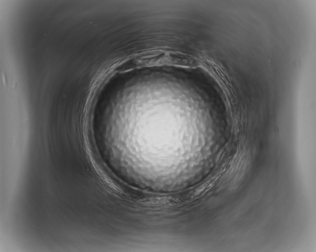 X0000112150049200908141222