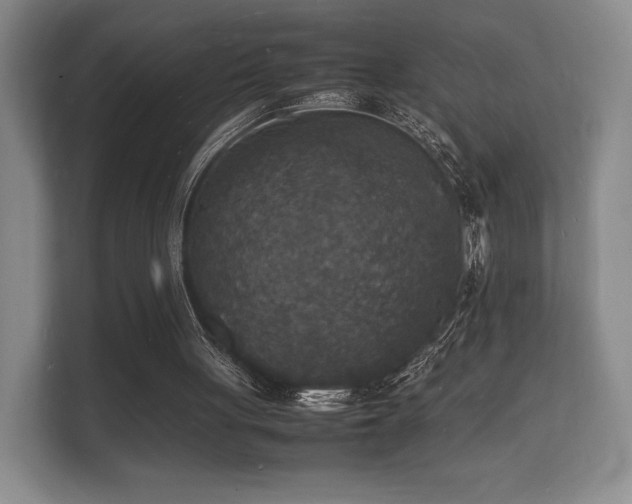 X0000112150051200908141222