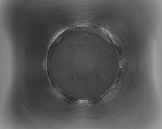 X0000112150052200908141222