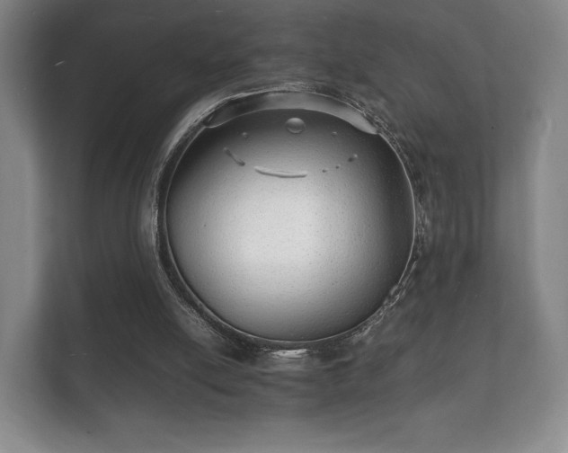 X0000112150054200908141222
