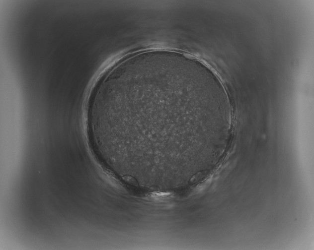 X0000112150055200908141222