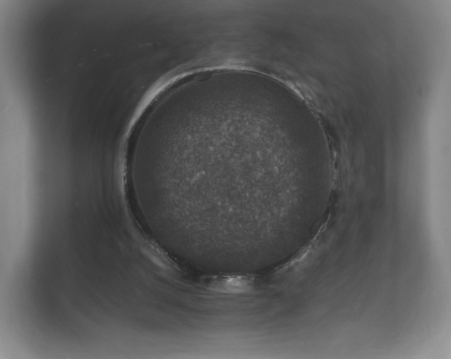 X0000112150056200908141223