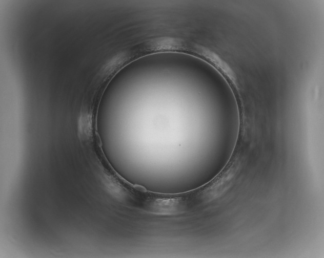 X0000112150057200908141223