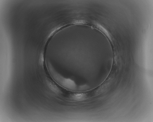 X0000112150059200908141223