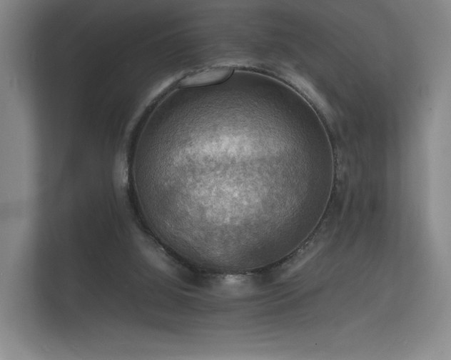 X0000112150060200908141223