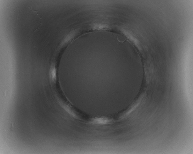 X0000112150067200908141223