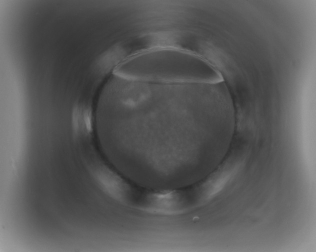 X0000112150068200908141223