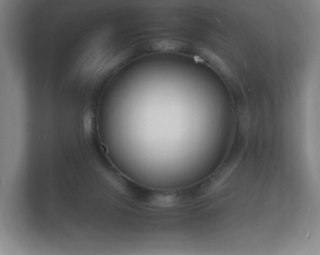 X0000112150071200908141223