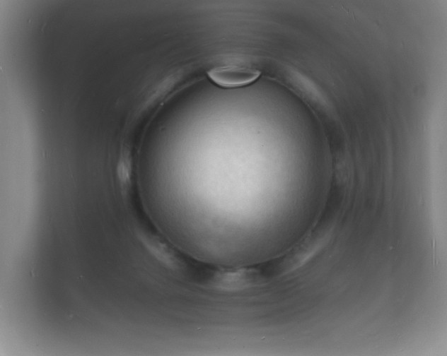 X0000112150072200908141223