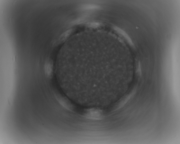 X0000112150073200908141223