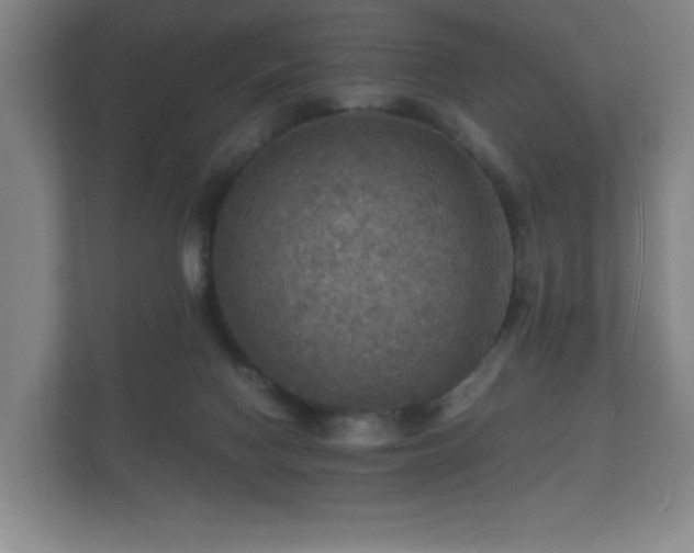 X0000112150074200908141223