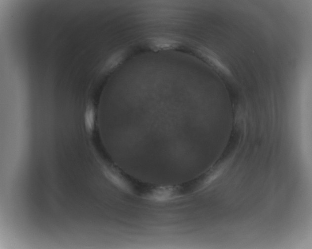 X0000112150076200908141223