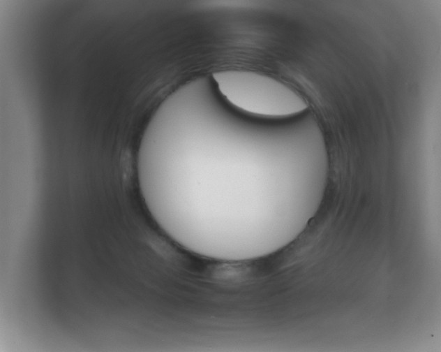 X0000112150077200908141223