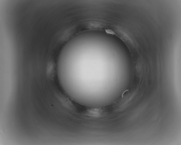 X0000112150079200908141223