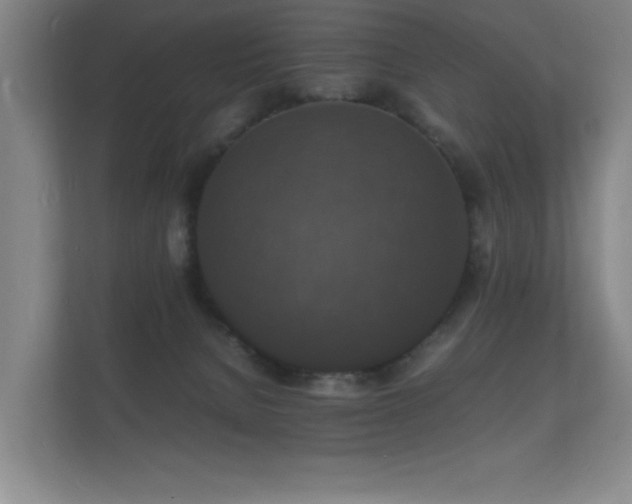 X0000112150080200908141223