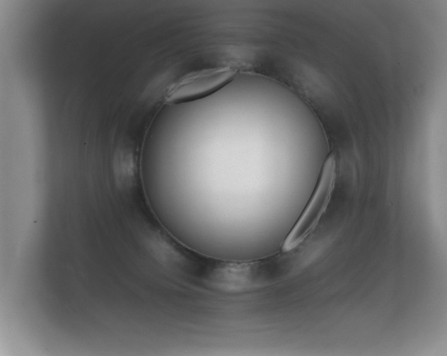 X0000112150084200908141223
