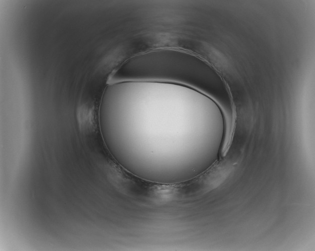 X0000112150088200908141223